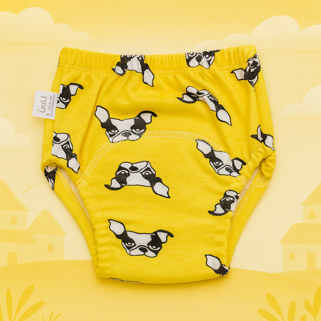 Potty Training Underwear
