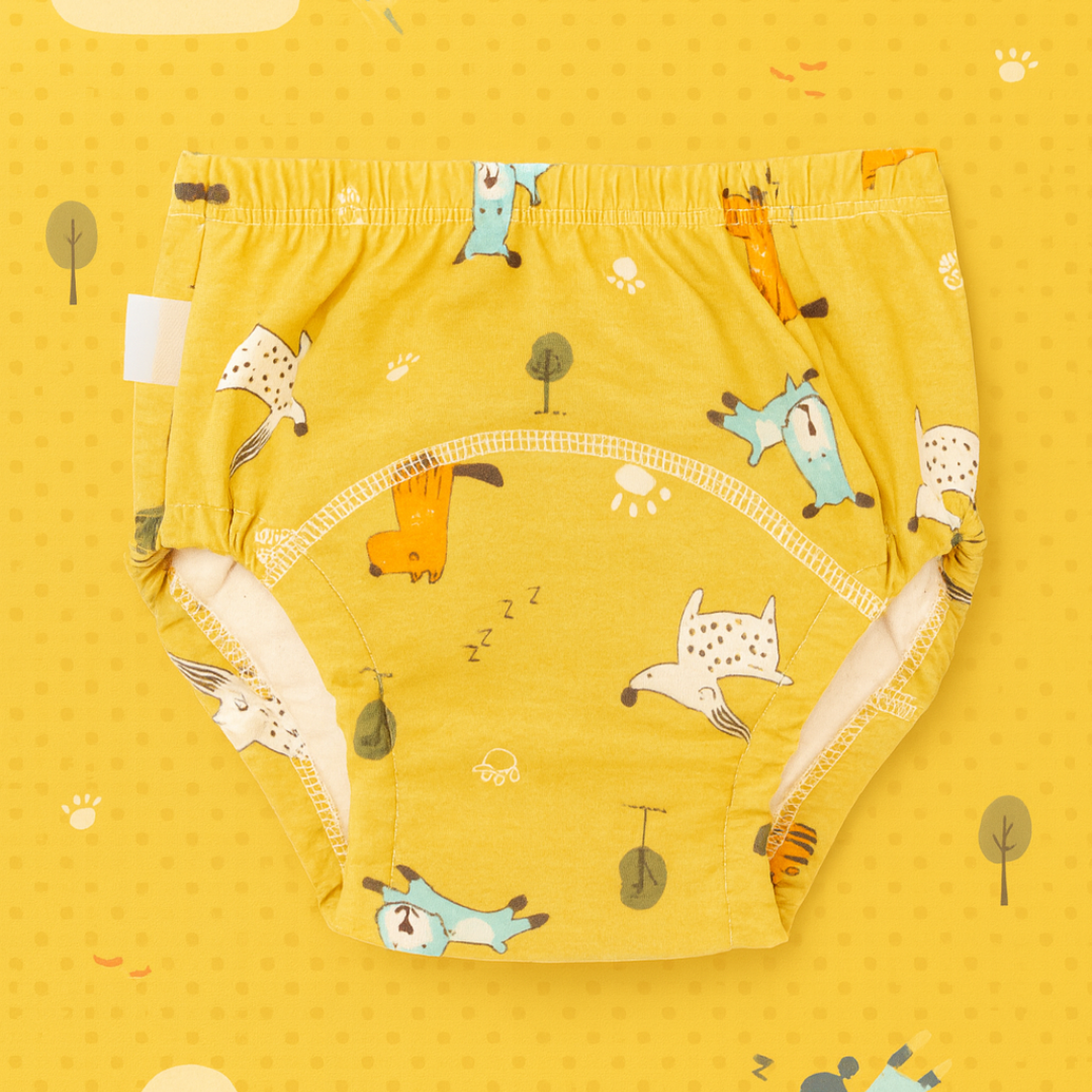 Potty Training Underwear